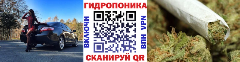 Купить закладку COCAIN А ПВП Меф мяу мяу ГАШИШ Бошки Шишки Починок