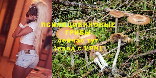 Альфа ПВП Осташков