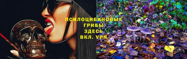Альфа ПВП Осташков