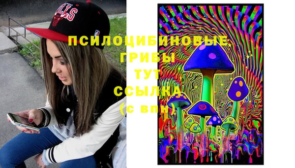 Альфа ПВП Осташков